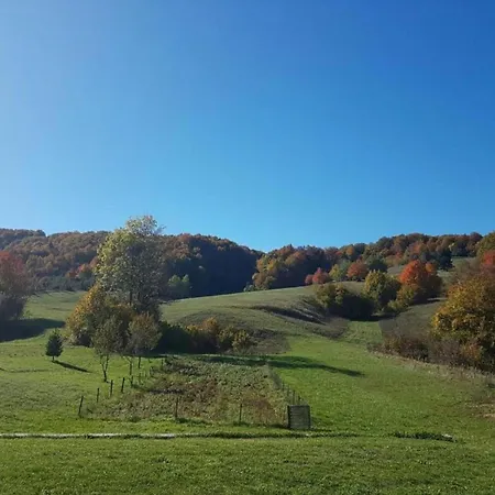 In Pa Man Near Lu Ina